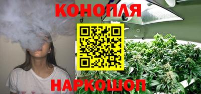 гидропоника Ипатово