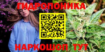 гидропоника Ипатово